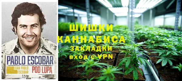 шишки Балахна