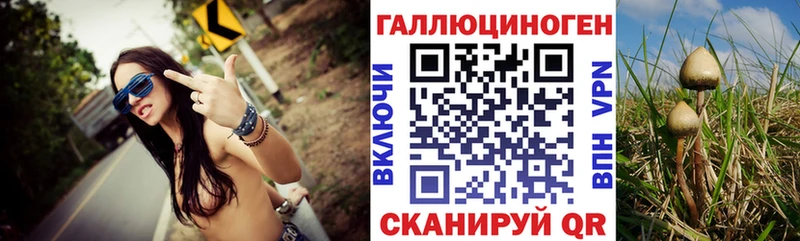сайты даркнета клад  даркнет сайт  Фёдоровский  Псилоцибиновые грибы ЛСД 
